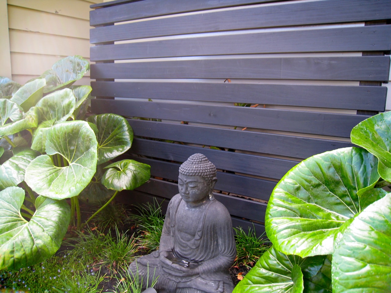 garden screen ideas, Buddha feature, Kirsten Sach landscape design