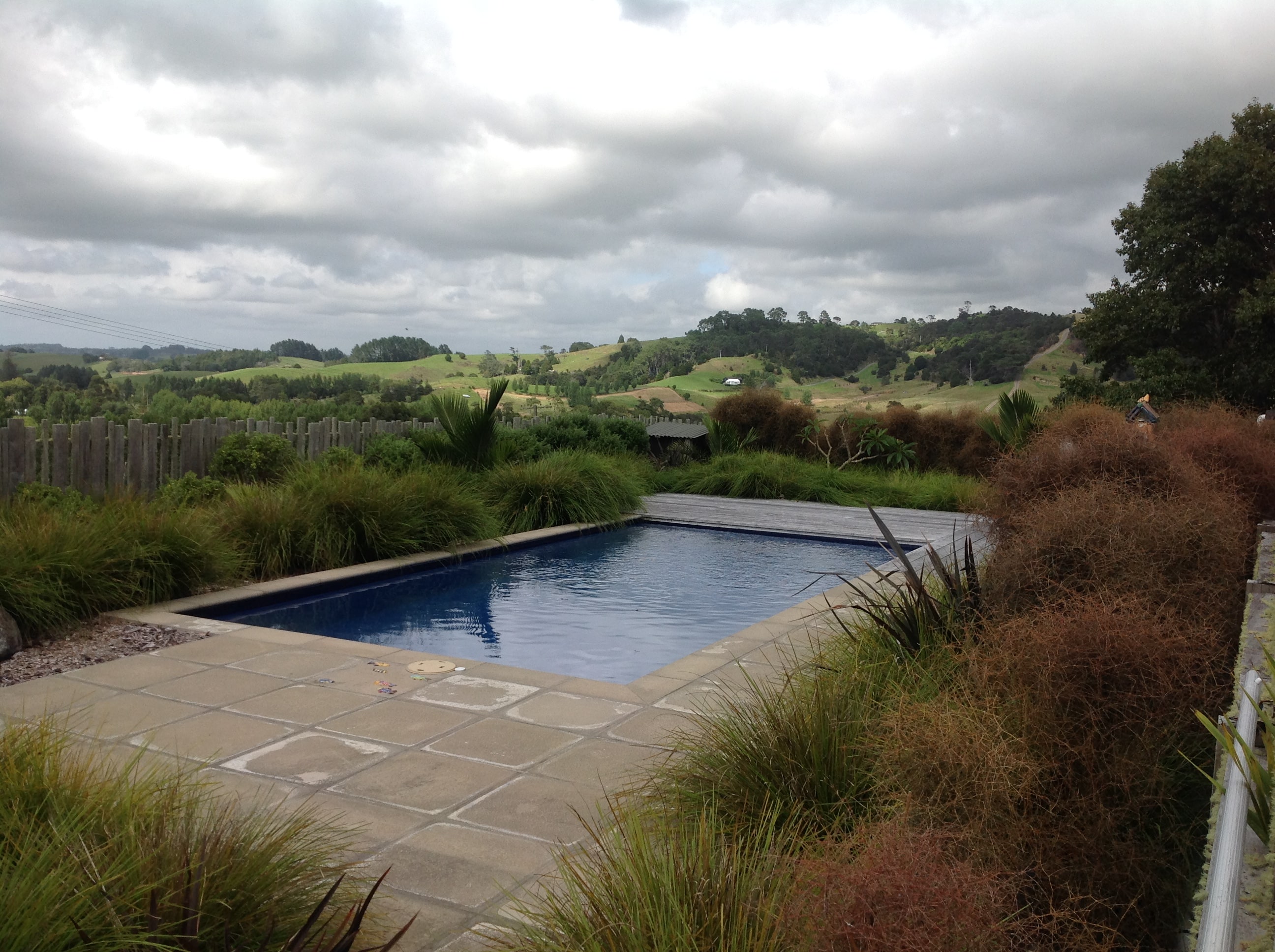 country swimming pool ideas, native plants, Kirsten Sac
