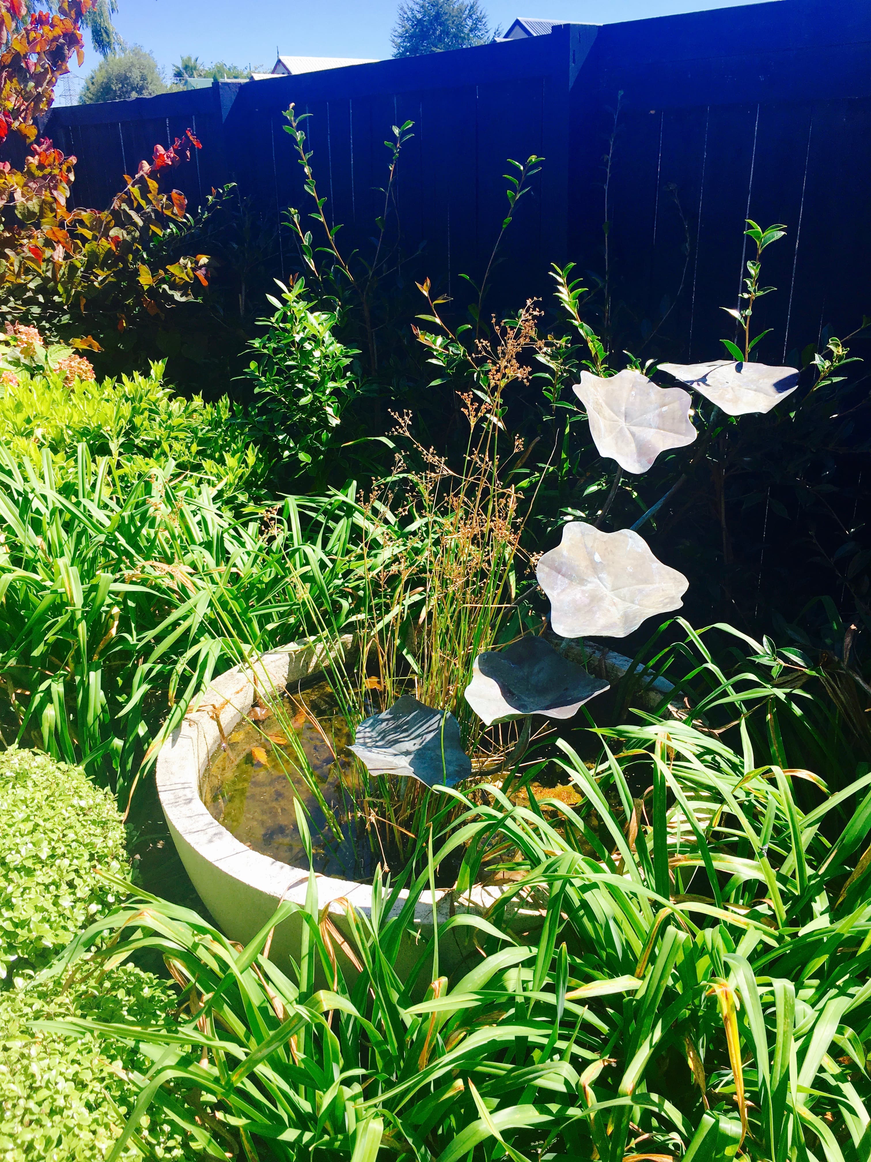 Garden Water feature, Auckland garden design,, Kirsten Sach landscapes