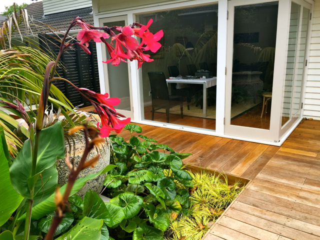 Sub Tropical garden design Auckland, Kirsten Sach landscapes