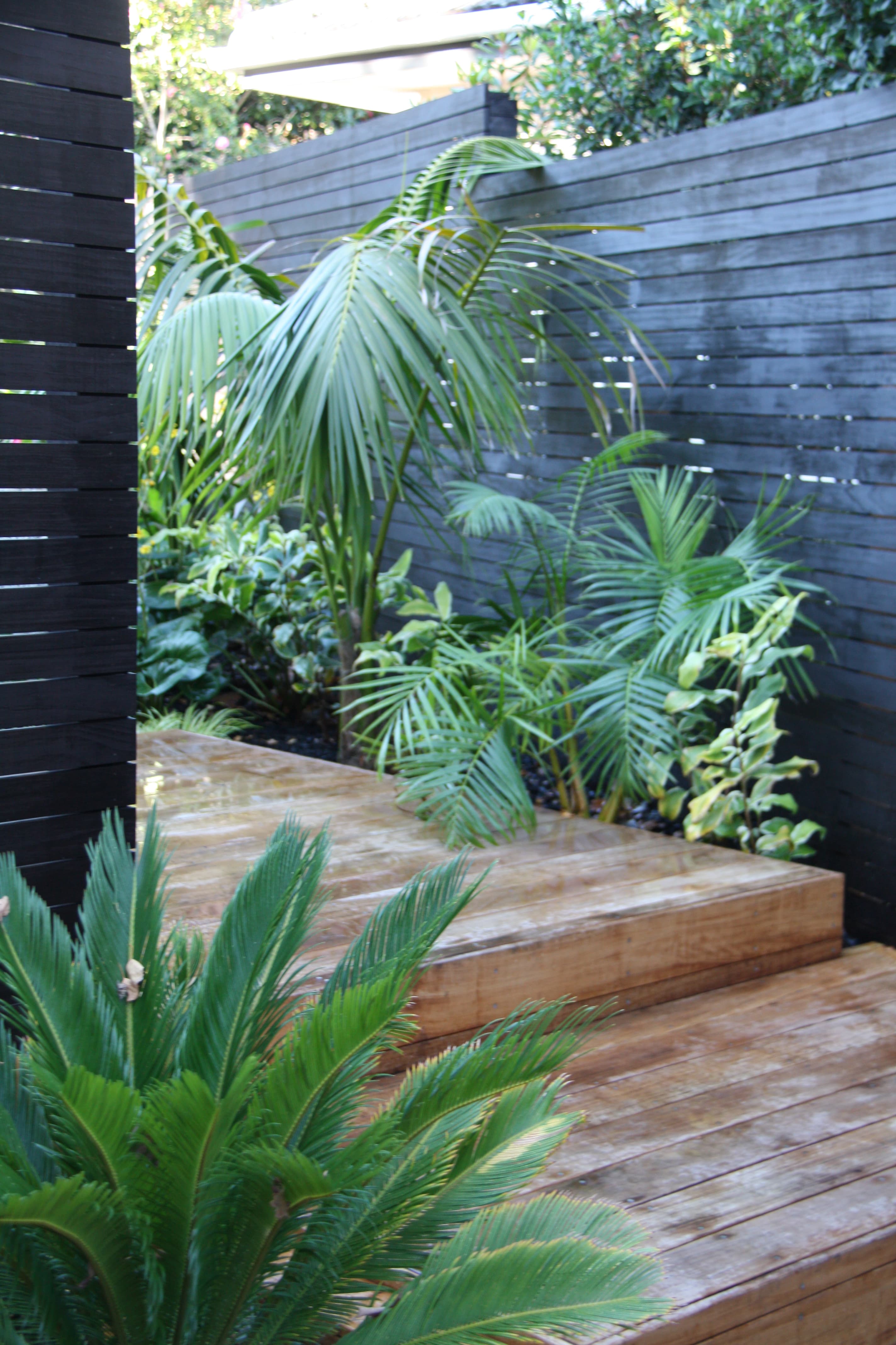 Tropical palms, Garden screens, Auckland Designer Kirsten sach