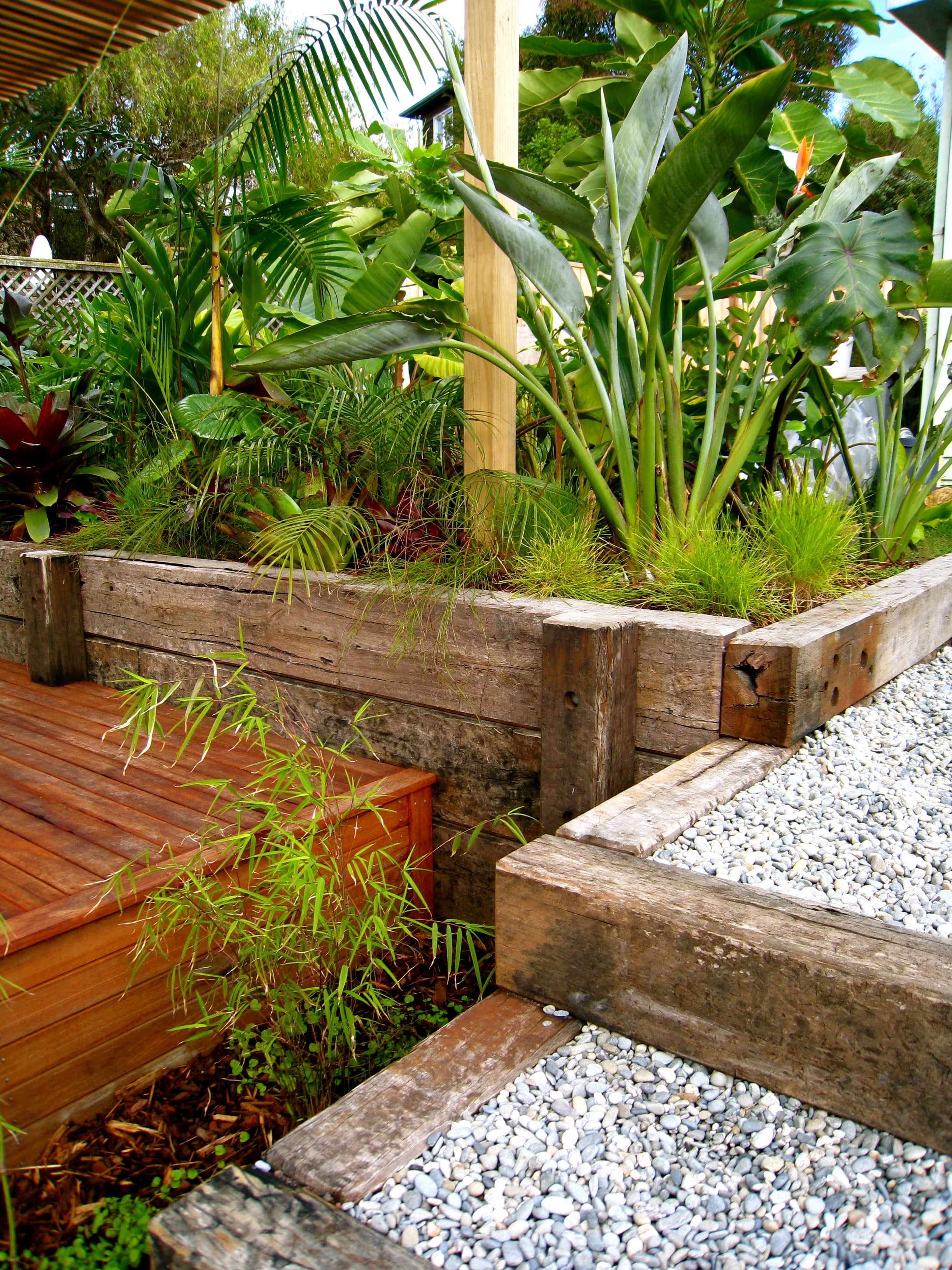 tropical planting Auckland, sleeper garden beds, Kirsten Sach landscape design