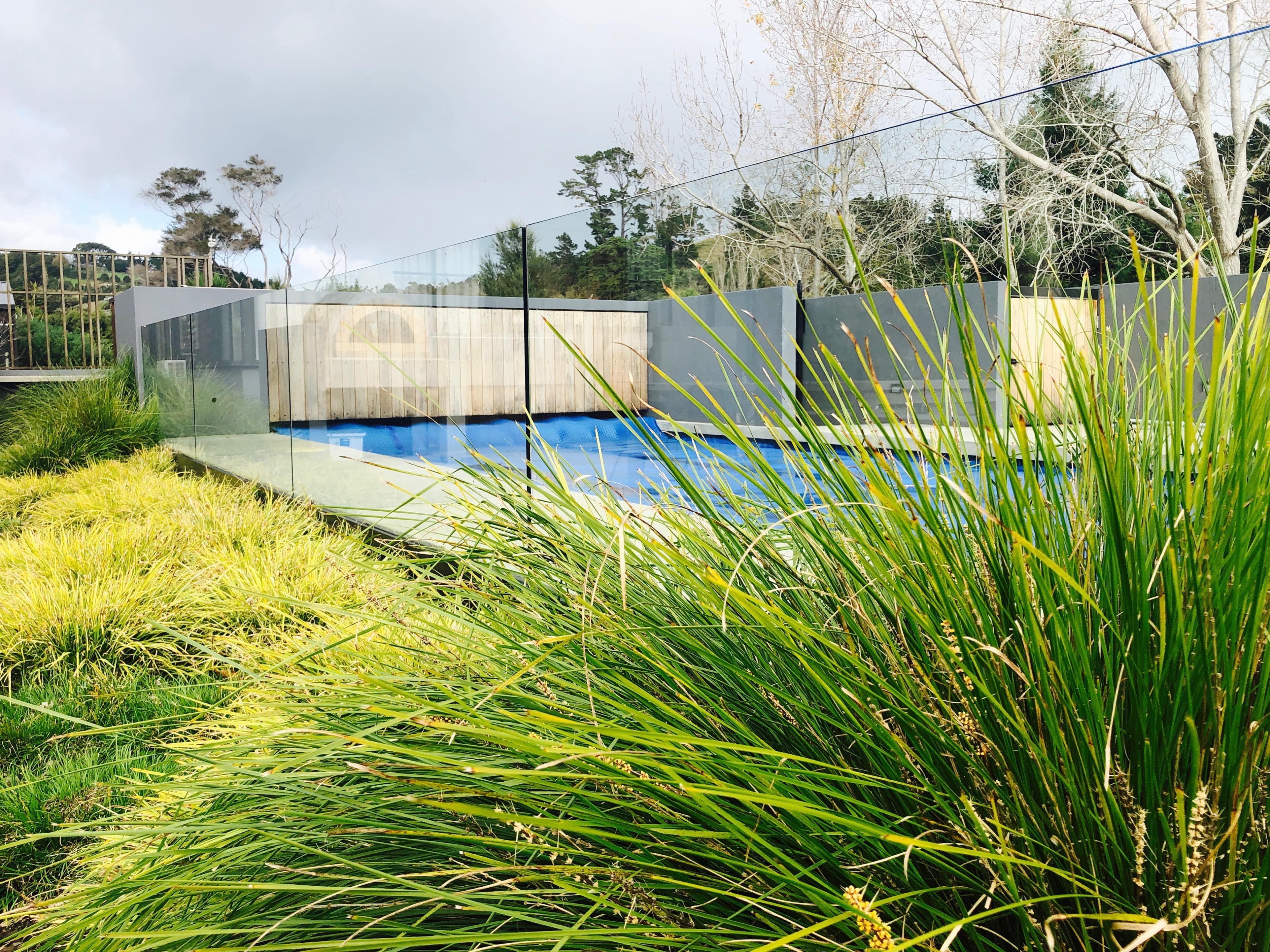 Inground swimming pool, glass pool fencing, Kirsten Sach landscape design