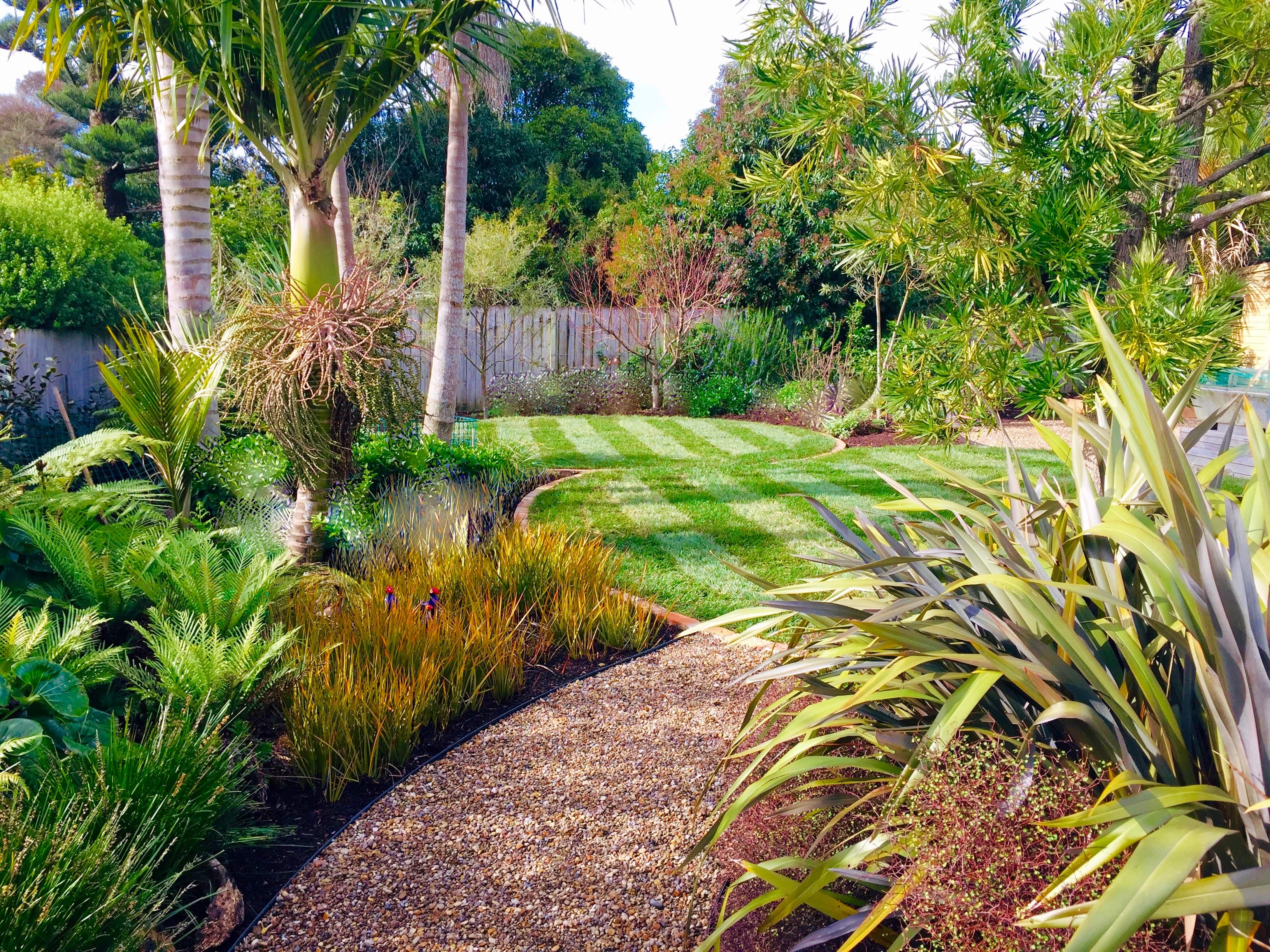Circle lawns, Landscape designer, Auckland garden design