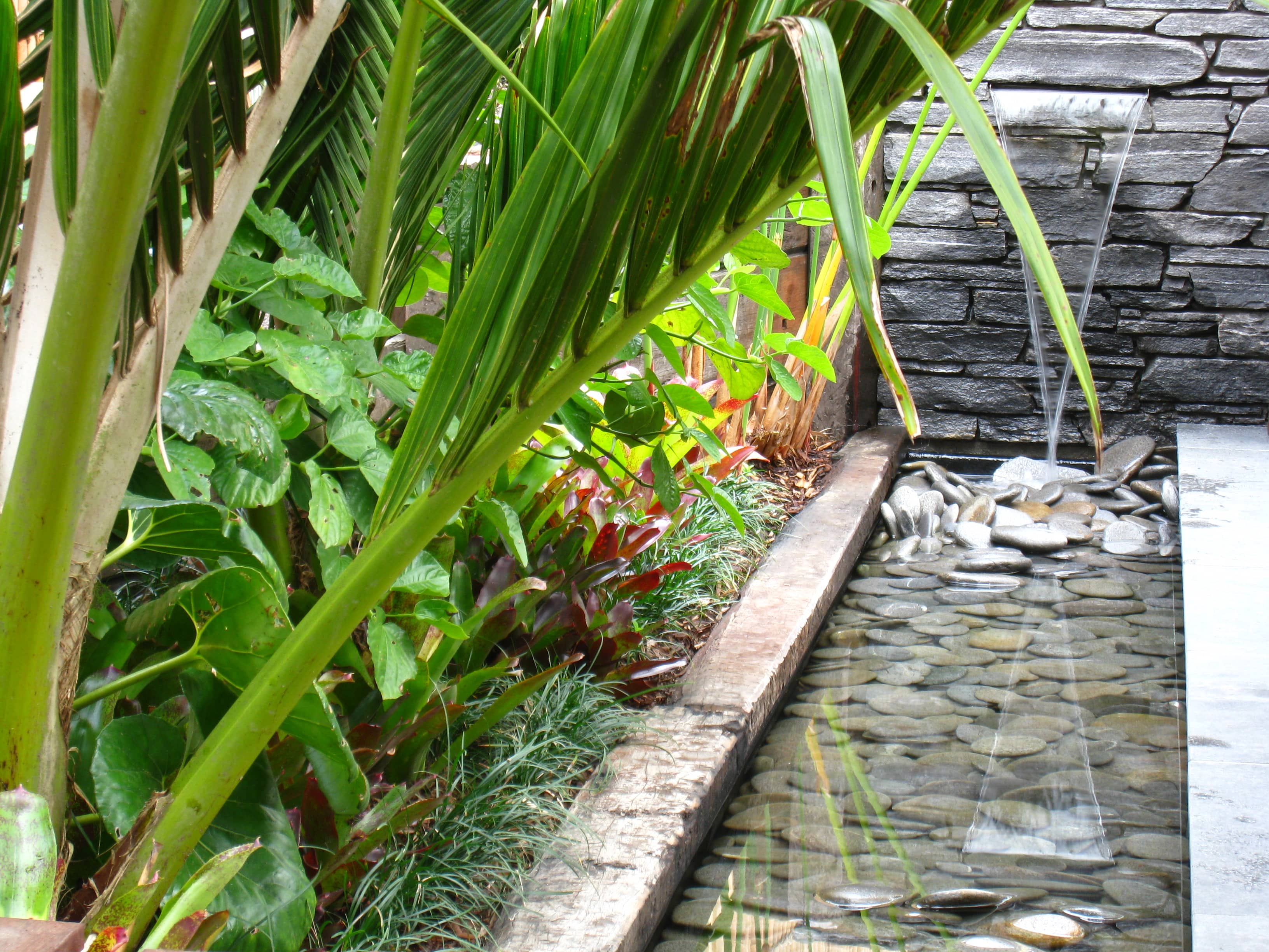 subtropical auckland garden design, water feature, Kirsten Sach Landscapes
