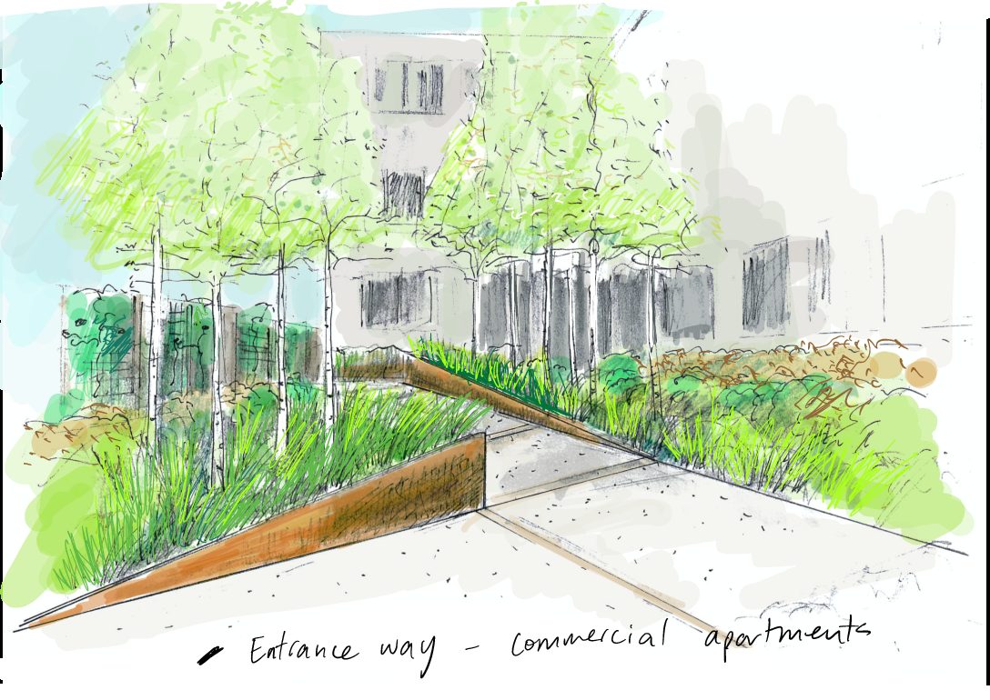 Concept garden design sketch Landscape design sketch, Kirsten Sach Landscape design Auckland