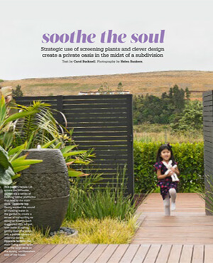 Soothe the Soul article