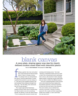 Blank Canvas article